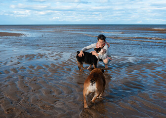 Woman and British English Bulldogs sitting on seaside