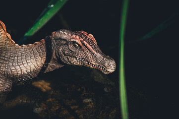 Espinosaurio, el mayor depredador de la prehistoria.  © J.M. Tornero
