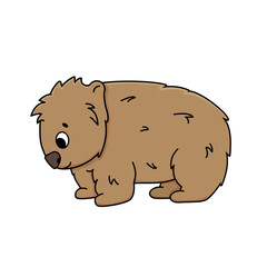 Brown Isolated vector outline cute wombat. Cartoon animal on white background, side view, looks down.