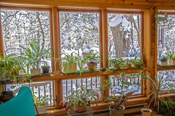 USA, Minnesota, Mendota Heights, Solarium Framed by Snowy Woods