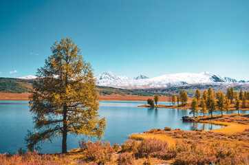 lake in autumn. Altay