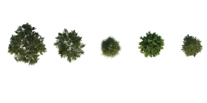 Arboles para post-producci&oacute;n de fachada y cortes en arquitectura
