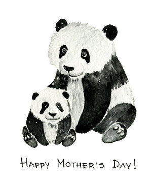Watercolor panda painting, mom and baby hand drawn illustration for mother's day decoration. Happy mother's day greeting card template isolated on white