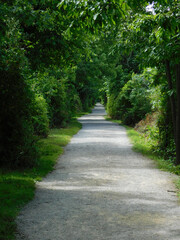 Path in the park