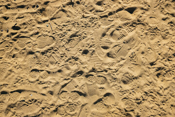 many different prints in the sand: a human foot, shoes, birds, animals. The texture of sand with small stones and dry algae. Sand surface.