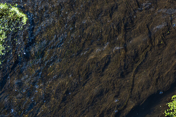 Water on the rocks overgrown with moss.