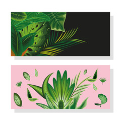 leaves foliage banners
