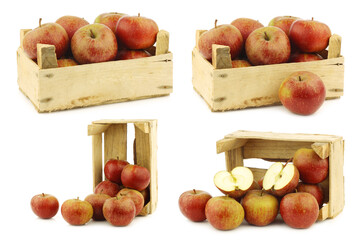 Traditional Dutch apples called "goudrenet" and a cut one used for making apple pie in a wooden crate on a white background