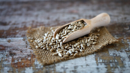Sunflower seeds in a wooden spatula. Raw sunflower seeds.