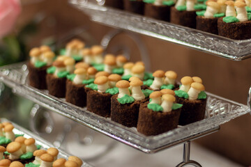 Delicious and beautifully served pastries close-up. Cookies on a plate. Beautiful sweet snacks