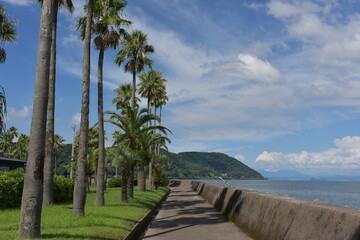Fototapeta na wymiar 鹿児島垂水湾の風景