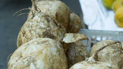 Raw jicama on the blurry bcakground