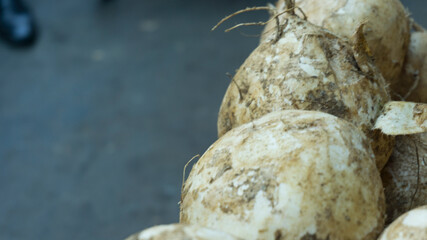 Raw jicama on the blurry bcakground