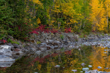 Autumn color reflecting along the Middle Fork of the Flathead River in Glacier National Park, Montana, USA
