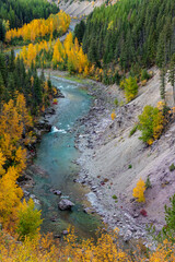 Autumn color along the Middle Fork of the Flathead River in Glacier National Park, Montana, USA