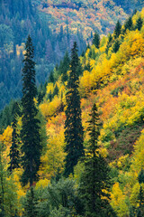 USA, Montana. Autumn in Glacier National Park.