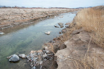 USA, Nevada, Las Vegas. Clark County Wetlands Park (Mohave Desert), Duck Creek.