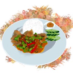 Thai food illustration  Stir Fried Salid Fish Curry with Rice  Served with cucumber