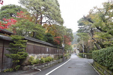 京都の秋を訪ねて