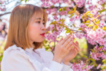 Fototapeta premium 河津桜と若い女性