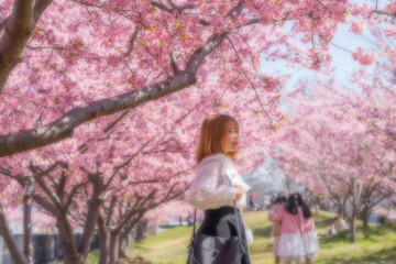 河津桜と若い女性