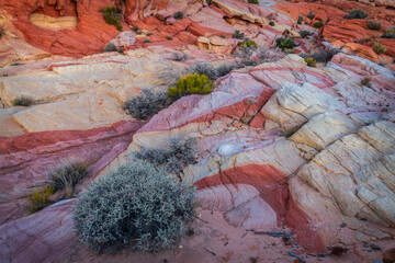 USA, Nevada, Overton, Valley of Fire State Park. Multi-colored rock formations.
