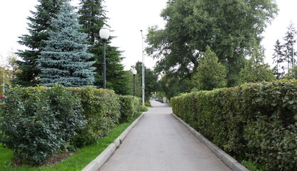 Russia views of the city of Moscow in summer tourism