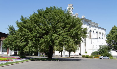 Obraz premium Russia views of the city of Moscow in summer VDNKH tourism