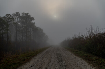 Foggy Sunrise above Dirt Road