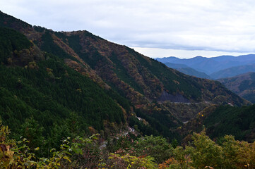 Fototapeta premium 紅葉シーズンの三頭山の登山道