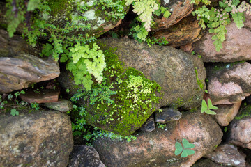 Pedra limada