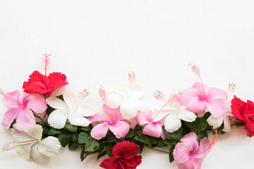 colorful flower red white pink hibiscus and leaf arrangement flat lay postcard style on background white wooden