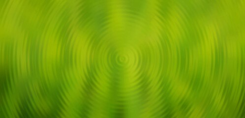 abstract green texture background for text and web design