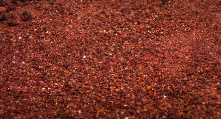 Coral red sea sand, texture close up macro shoot
