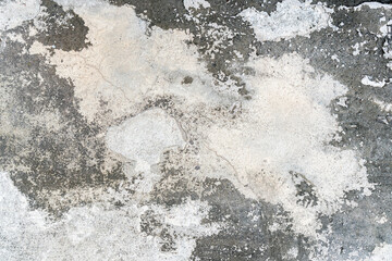 Closeup texture abstract of old wall background, floor cement with algae.