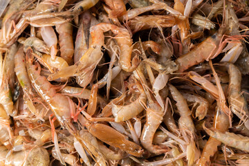 Seasonal small seafood fresh splint shrimp