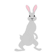 Rabbit little bunny cute animal vector illustration