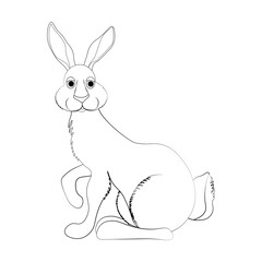 Obraz premium Rabbit little bunny cute animal vector illustration outline