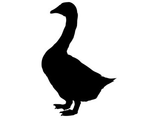 アヒルのシルエット