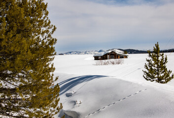 Cabin in a Snow Drift in Steamboat Lake State Park