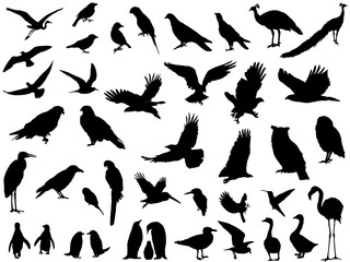 鳥シルエット_セット