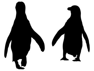 並んで歩くペンギンのシルエット