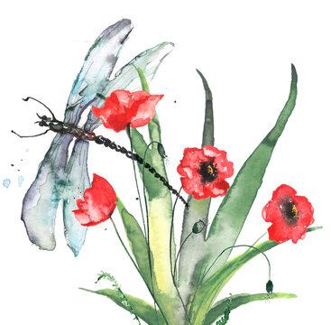 Watercolor Frame of Red poppy, branch. Vintage drawing plant. Card with Red poppy flowers. Garden flowers. Thickets of grass. For logo, card, design,frame.Banner.A dragonfly flies over the clearing. 
