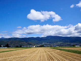 秋、稲刈りが終わった後の田んぼ 鉢伏山方面 長野県松本市