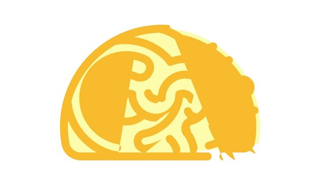 marine shell color icon animation