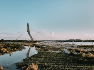 Obraz premium Signature Bridge is a cantilever spar cable-stayed bridge which spans the Yamuna river at Wazirabad section, connecting Wazirabad to East Delhi.