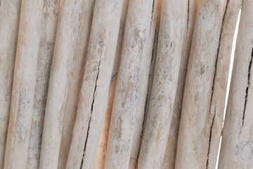 Driftwood. row of white sea snags.White sea driftwood close-up texture.Wooden nature beige background.
