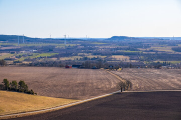 Country Road at field with a road crossing