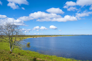 Beautiful landscape view at a single tree at a lake with a meadow in the spring