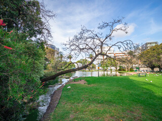 beautiful park with birds palm trees ponds waterfalls foot bridge lush green grass and trees in...